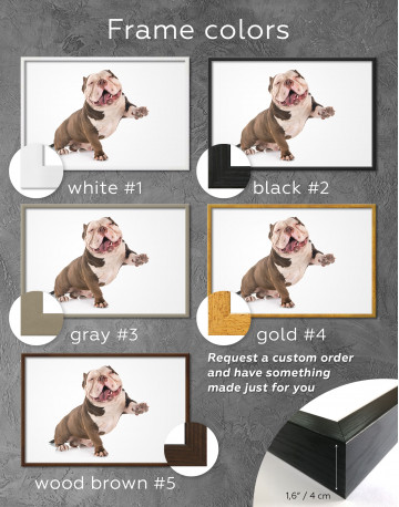 Framed Smiling American Bully Canvas Wall Art - image 2