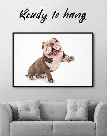 Framed Smiling American Bully Canvas Wall Art