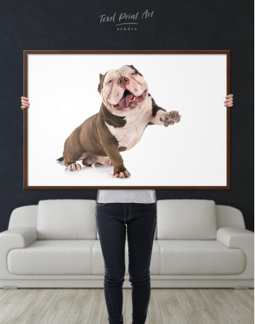Framed Smiling American Bully Canvas Wall Art - image 1