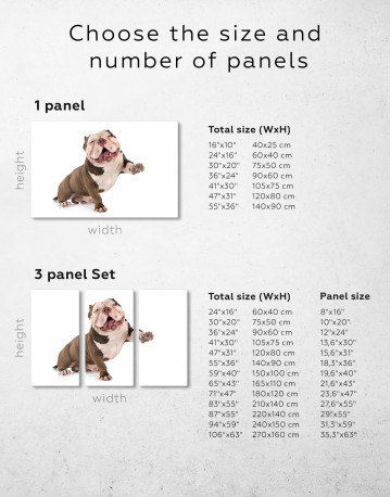 Smiling American Bully Canvas Wall Art - image 9