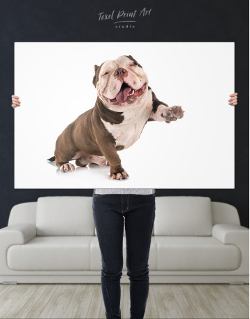 Smiling American Bully Canvas Wall Art - image 1