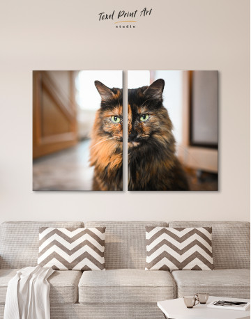 Fluffy Black Calico Cat Canvas Wall Art - image 9