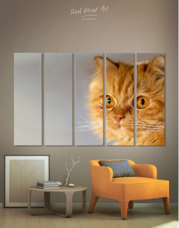 5 Panels Red Persian Cat Canvas Wall Art