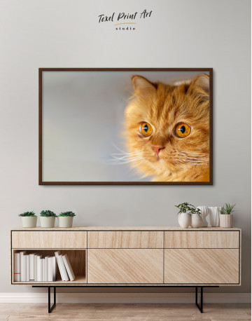 Framed Red Persian Cat Canvas Wall Art - image 3