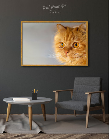 Framed Red Persian Cat Canvas Wall Art - image 2