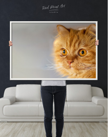 Framed Red Persian Cat Canvas Wall Art - image 1