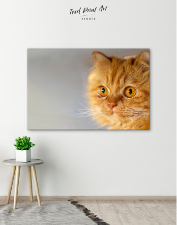 Red Persian Cat Canvas Wall Art - image 4