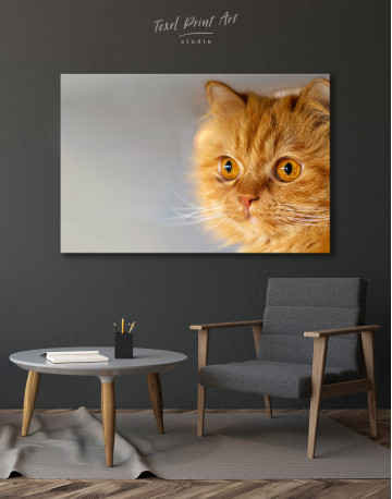 Red Persian Cat Canvas Wall Art - image 7