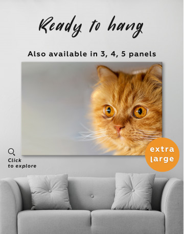 Red Persian Cat Canvas Wall Art - image 1