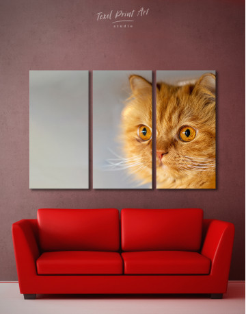 3 Panels Red Persian Cat Canvas Wall Art