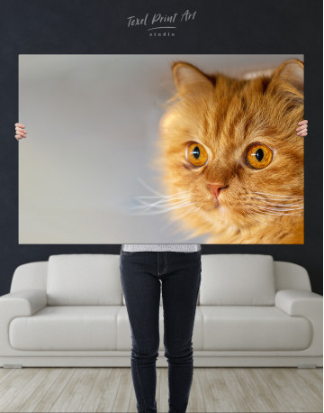 Red Persian Cat Canvas Wall Art - image 2