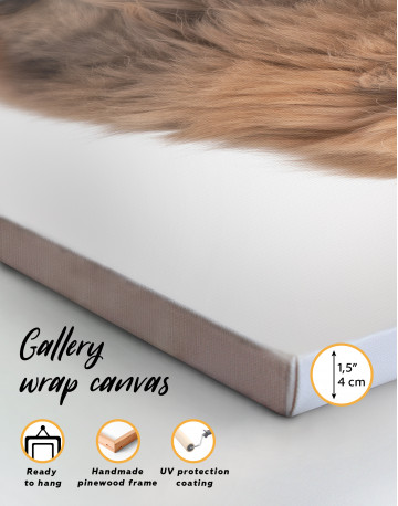 Surprised Persian Cat Canvas Wall Art - image 2