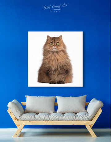 Surprised Persian Cat Canvas Wall Art - image 4