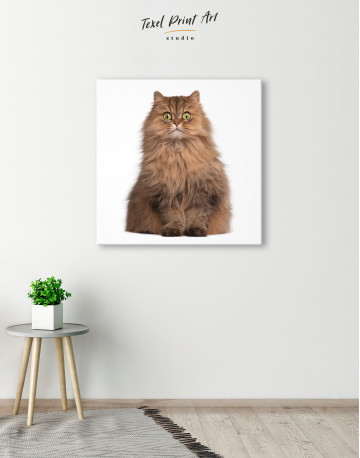 Surprised Persian Cat Canvas Wall Art - image 5