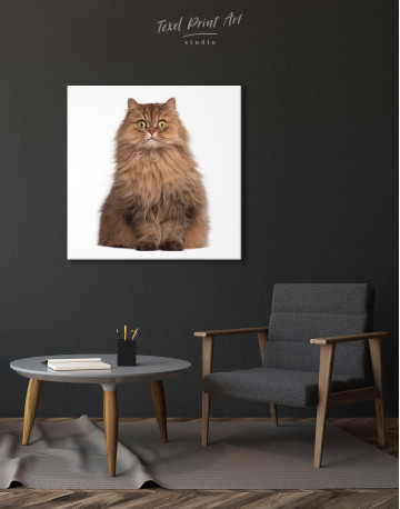 Surprised Persian Cat Canvas Wall Art - image 1