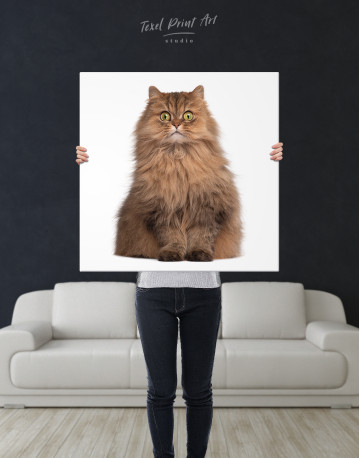 Surprised Persian Cat Canvas Wall Art - image 6