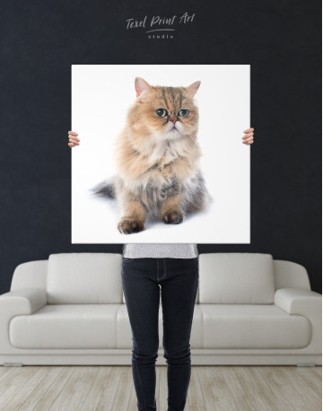 Persian Cat Photo Portrait Canvas Wall Art - image 5