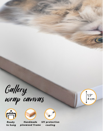 Persian Cat Photo Portrait Canvas Wall Art - image 1
