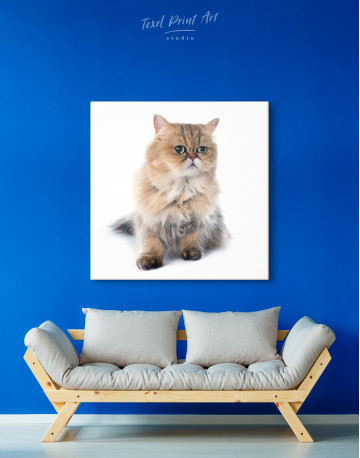Persian Cat Photo Portrait Canvas Wall Art - image 4