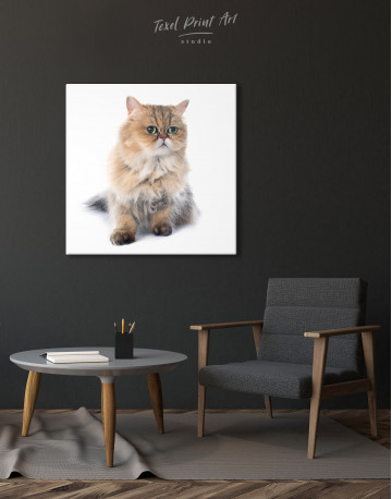 Persian Cat Photo Portrait Canvas Wall Art - image 2