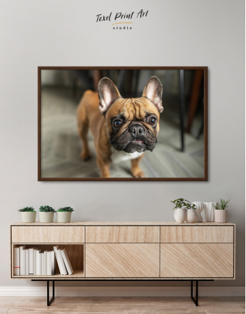 Framed French Bulldog Photography Canvas Wall Art - image 3