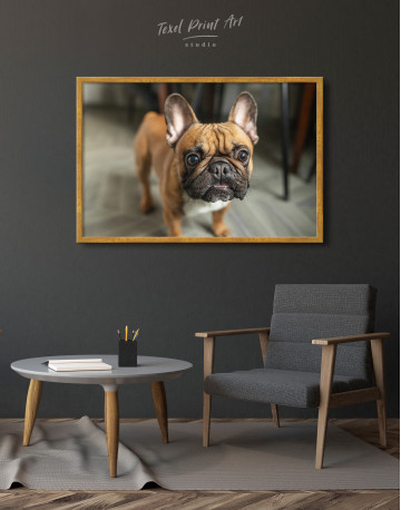 Framed French Bulldog Photography Canvas Wall Art - image 4