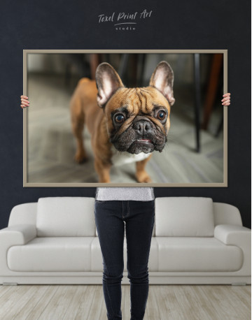 Framed French Bulldog Photography Canvas Wall Art - image 5