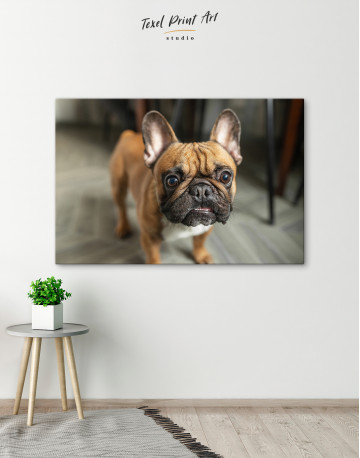 French Bulldog Photography Canvas Wall Art - image 2