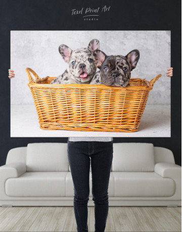 French Bulldog Puppies in Basket Canvas Wall Art - image 10