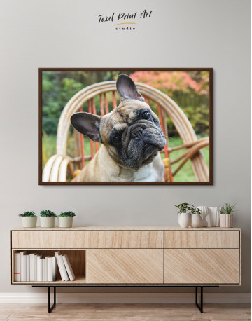 Framed French Bulldog Sitting on Garden Chair Canvas Wall Art - image 3