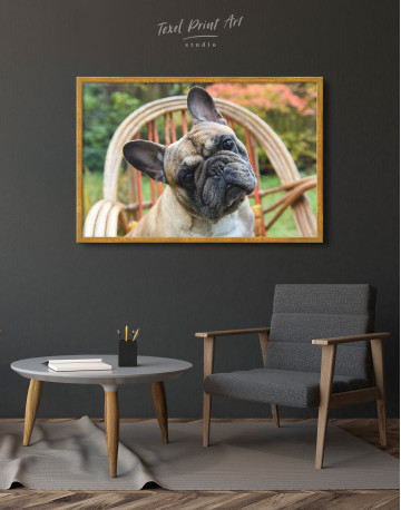 Framed French Bulldog Sitting on Garden Chair Canvas Wall Art - image 4