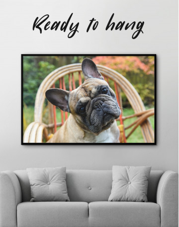 Framed French Bulldog Sitting on Garden Chair Canvas Wall Art