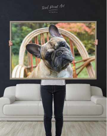Framed French Bulldog Sitting on Garden Chair Canvas Wall Art - image 5