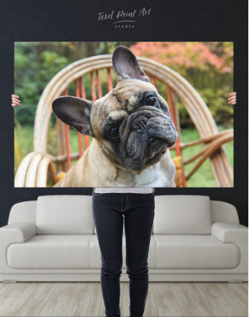 French Bulldog Sitting on Garden Chair Canvas Wall Art - image 9