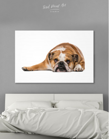 French Bulldog Lying on the Floor Canvas Wall Art