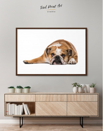 Framed English Bulldog Lying on the Floor Canvas Wall Art - image 3