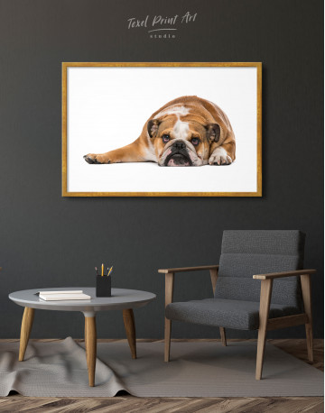 Framed English Bulldog Lying on the Floor Canvas Wall Art - image 2
