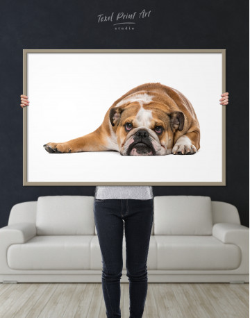 Framed English Bulldog Lying on the Floor Canvas Wall Art - image 1
