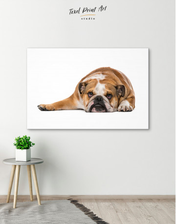 English Bulldog Lying on the Floor Canvas Wall Art - image 2