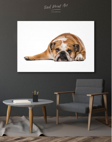 English Bulldog Lying on the Floor Canvas Wall Art - image 4