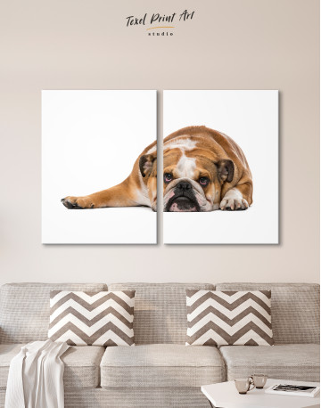 English Bulldog Lying on the Floor Canvas Wall Art - image 10