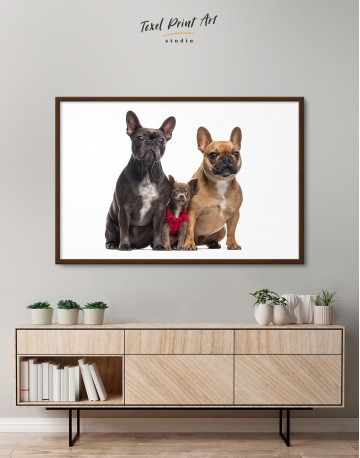Framed Puppy Chihuahua and French Bulldogs Canvas Wall Art - image 3