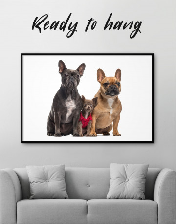 Framed Puppy Chihuahua and French Bulldogs Canvas Wall Art