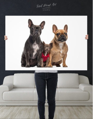 Puppy Chihuahua and French Bulldogs Canvas Wall Art - image 9