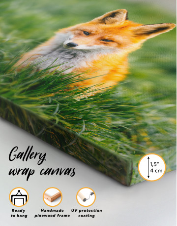Lovely Fox in Grass Canvas Wall Art - image 8