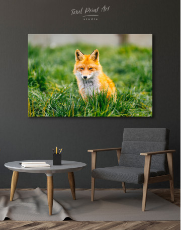 Lovely Fox in Grass Canvas Wall Art - image 6