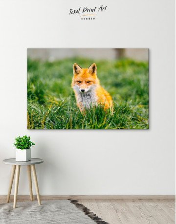 Lovely Fox in Grass Canvas Wall Art - image 5