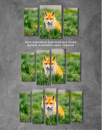 Lovely Fox in Grass Canvas Wall Art - image 4