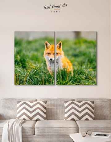 Lovely Fox in Grass Canvas Wall Art - image 10
