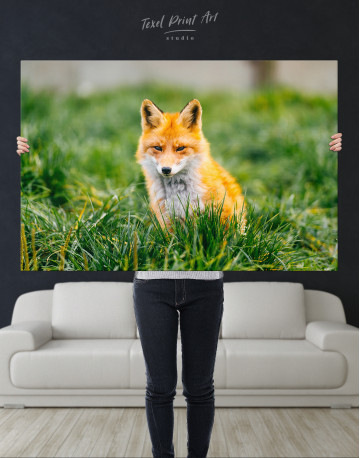 Lovely Fox in Grass Canvas Wall Art - image 9